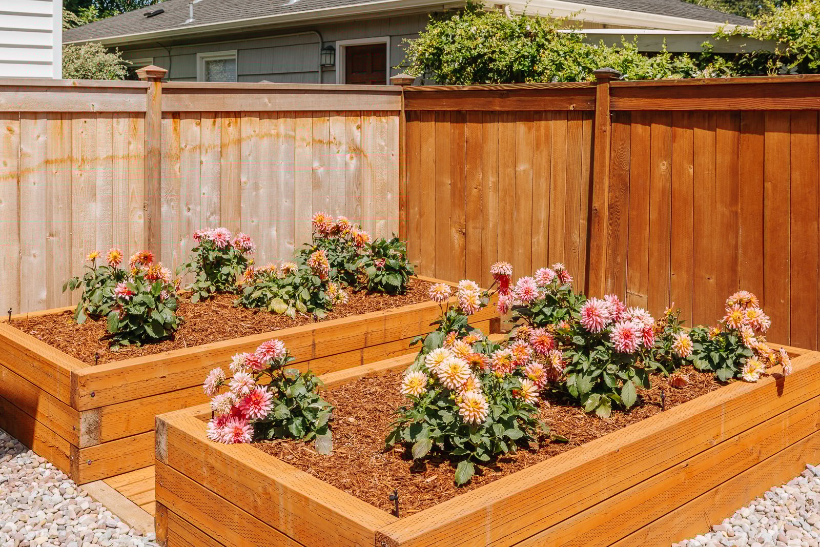 Garden Beds