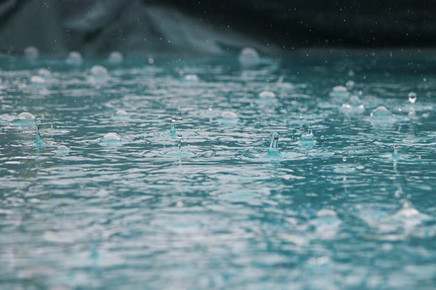 Common Home Drainage Issues And How to Prevent Them