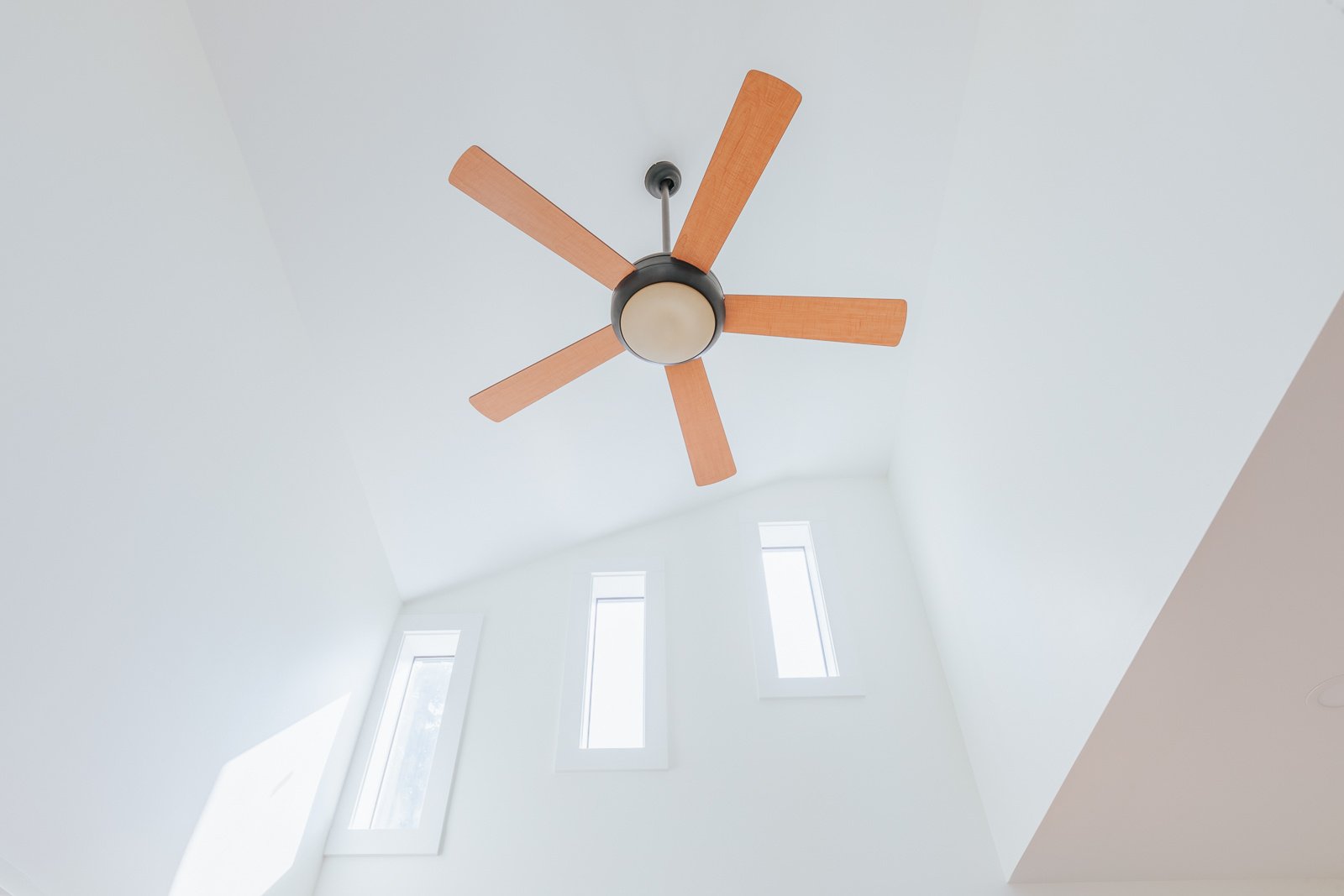 Ceiling fan