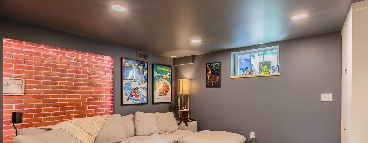Sunnyside Eclectic Basement