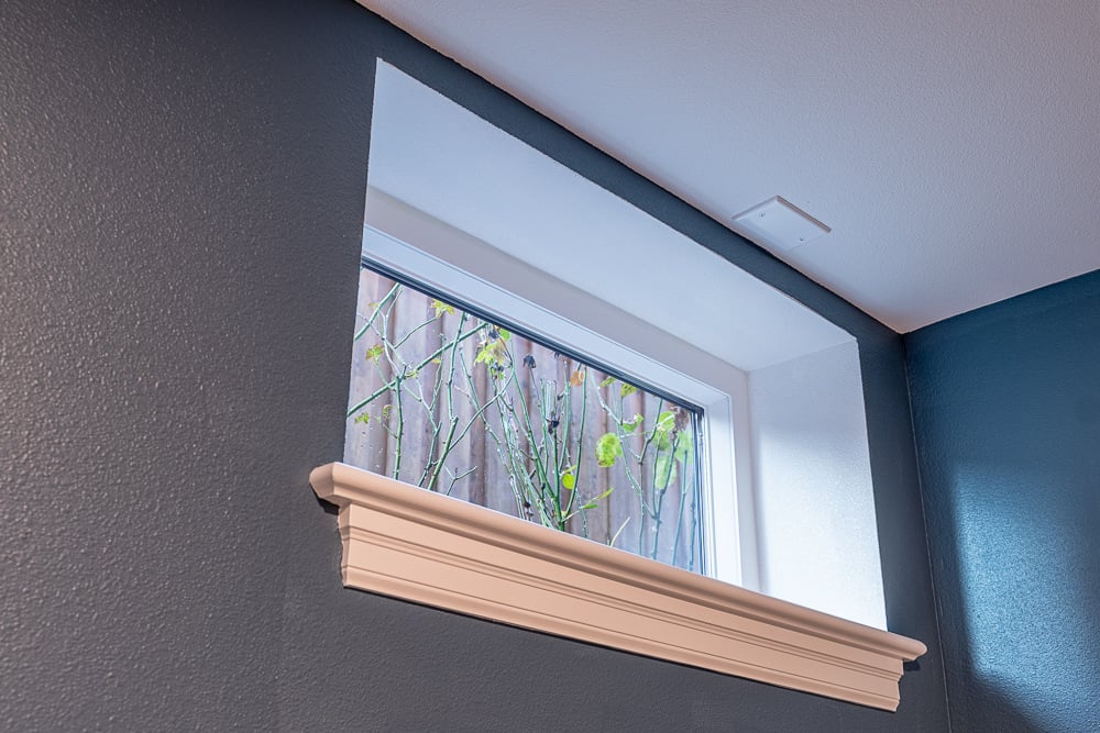 Window