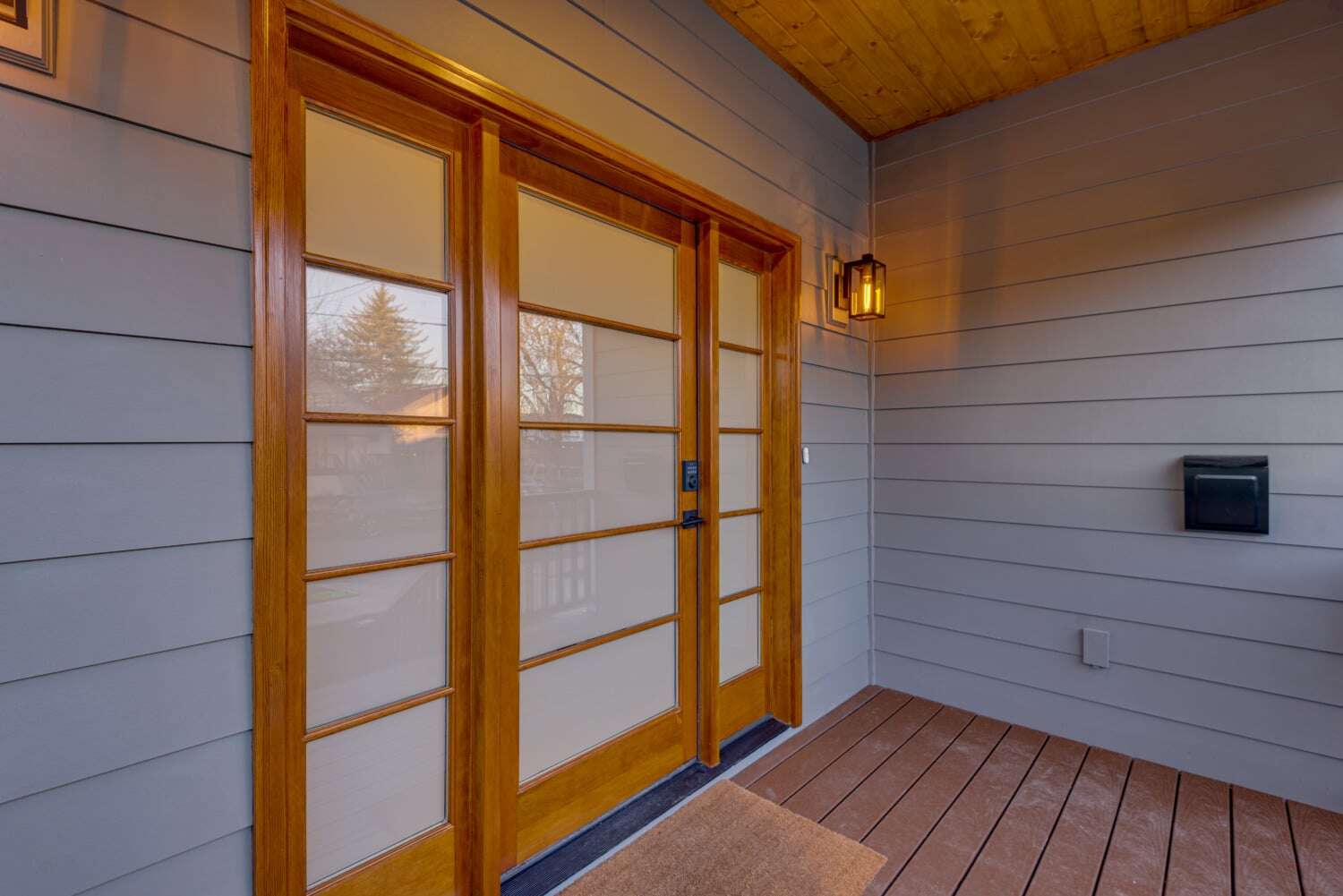 modern entryway ideas: glass panel front door