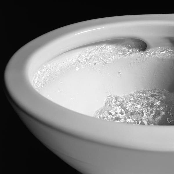 double cyclone toilet