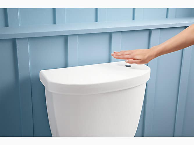 toilet types: no touch flush toilet