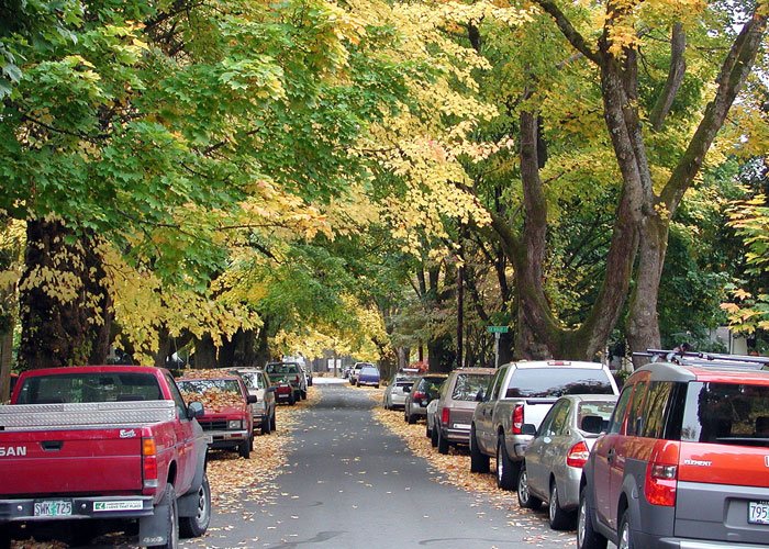portland adu rules: off street parking