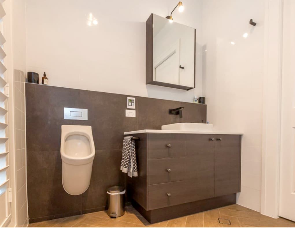 toilet types: urinal