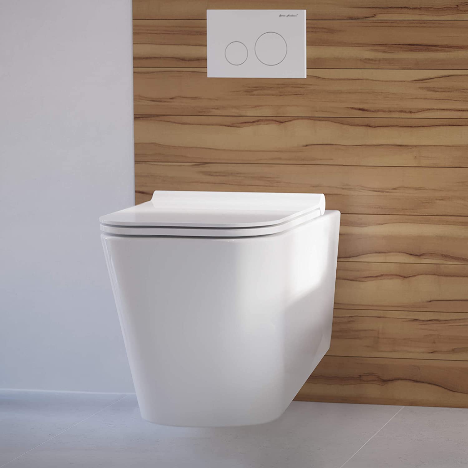 wall hung toilet