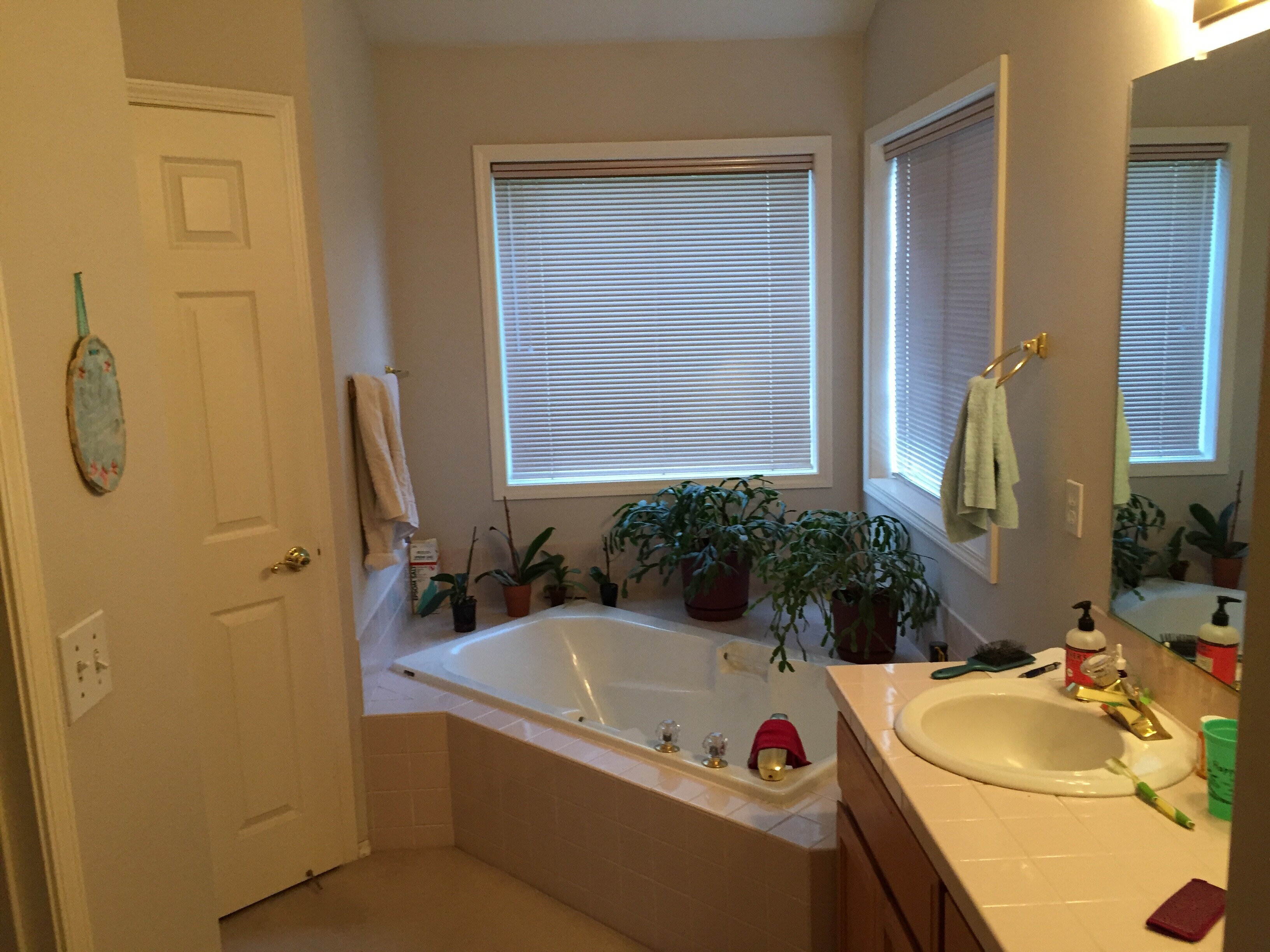 Bathroom before